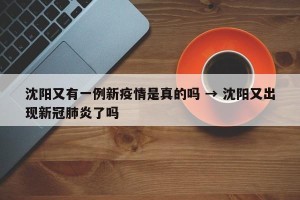 沈阳又有一例新疫情是真的吗 → 沈阳又出现新冠肺炎了吗