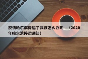 疫情哈尔滨停运了武汉怎么办呢—（2020年哈尔滨停运通知）