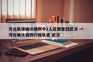 河北新增确诊病例中2人近期曾到武汉 → 河北确诊病例行程轨迹 武汉