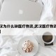 【武汉为什么缺医疗物资,武汉医疗物资仍有缺口】