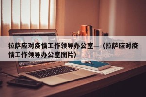 拉萨应对疫情工作领导办公室—（拉萨应对疫情工作领导办公室图片）