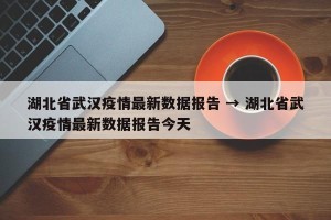 湖北省武汉疫情最新数据报告 → 湖北省武汉疫情最新数据报告今天
