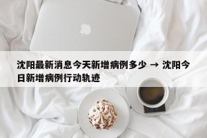 沈阳最新消息今天新增病例多少 → 沈阳今日新增病例行动轨迹