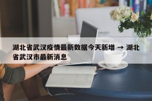 湖北省武汉疫情最新数据今天新增 → 湖北省武汉市最新消息