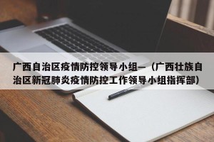 广西自治区疫情防控领导小组—（广西壮族自治区新冠肺炎疫情防控工作领导小组指挥部）