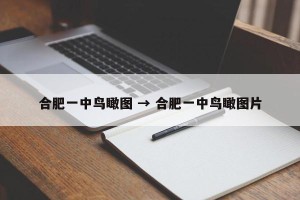 合肥一中鸟瞰图 → 合肥一中鸟瞰图片