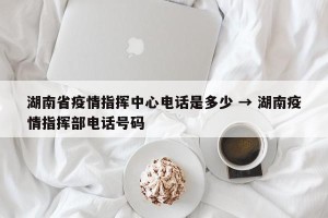 湖南省疫情指挥中心电话是多少 → 湖南疫情指挥部电话号码