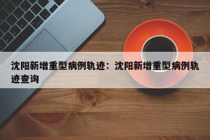 沈阳新增重型病例轨迹：沈阳新增重型病例轨迹查询