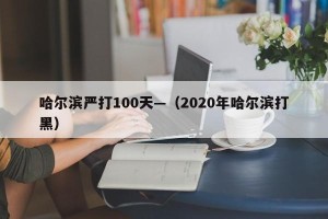哈尔滨严打100天—（2020年哈尔滨打黑）