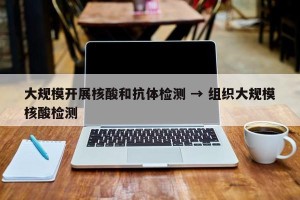 大规模开展核酸和抗体检测 → 组织大规模核酸检测